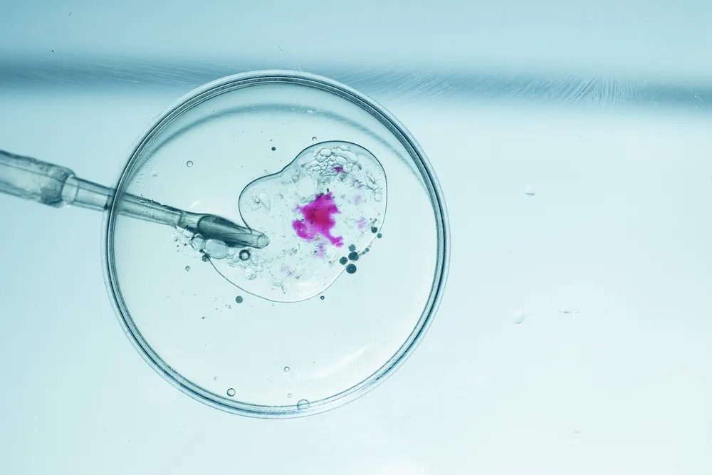 IVF Center